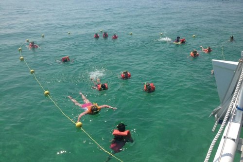 People in life jackets swimming in clear turquoise water, with a buoyed area visible in the background.