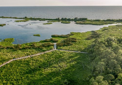 Aerial view of a lush wetland with a wooden path leading to a serene lake and distant shoreline under a clear sky.