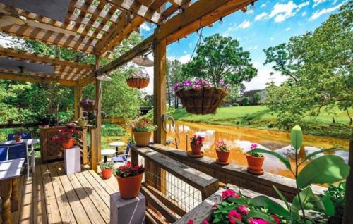 A wooden deck adorned with colorful potted flowers overlooks a serene pond surrounded by lush greenery.