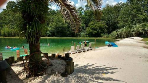 A serene beach scene with a green pond, sandy shore, palm trees, and people swimming and relaxing on lounge chairs.