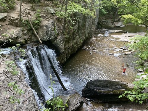 A serene waterfall cascades into a calm stream, surrounded by lush greenery and rocky terrain.