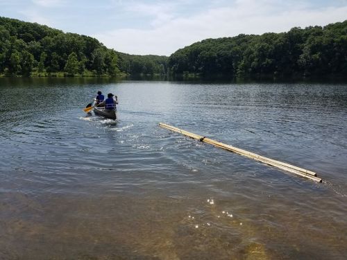 Two people paddle a canoe on a calm lake surrounded by lush green trees under a clear blue sky.
