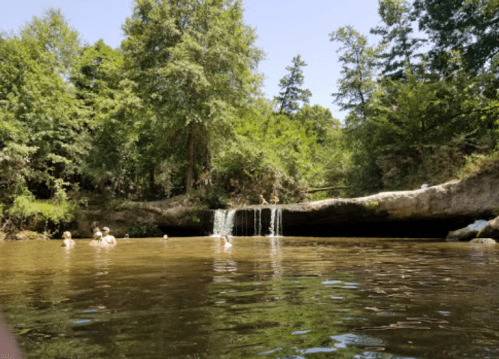 A serene natural scene with a small waterfall and people swimming in a clear, calm pool surrounded by lush greenery.