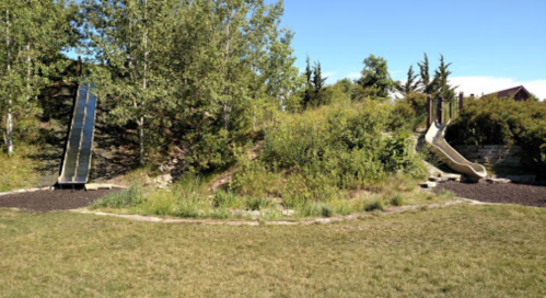 Two playground slides on a grassy area surrounded by trees and shrubs under a clear blue sky.