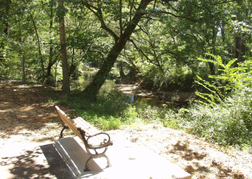 A wooden bench beside a serene creek, surrounded by lush green trees and foliage.