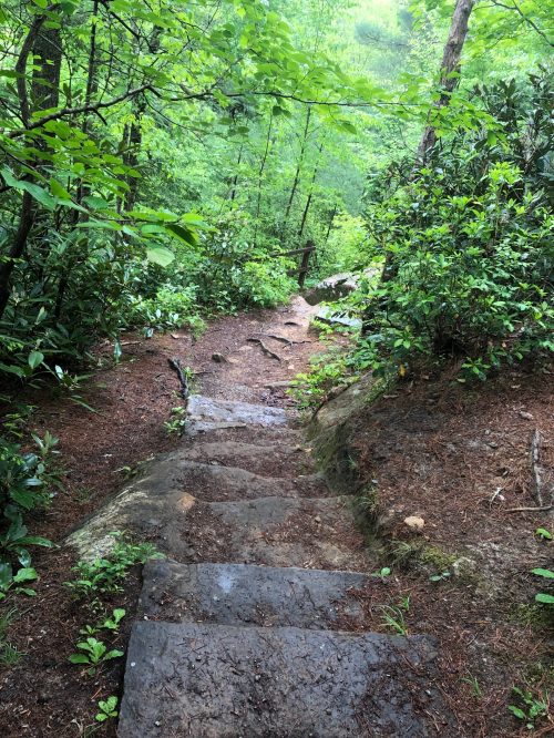 A stone pathway leads down through lush green foliage in a forested area.