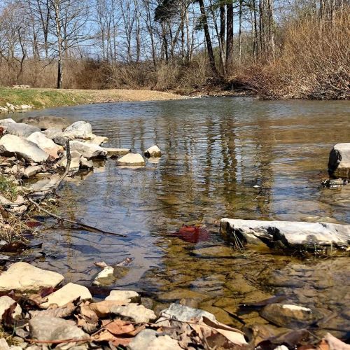 A serene river scene with clear water, rocks, and trees reflecting in the calm surface on a sunny day.