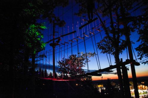 A treetop adventure course at dusk, with ropes and platforms silhouetted against a colorful sunset sky.