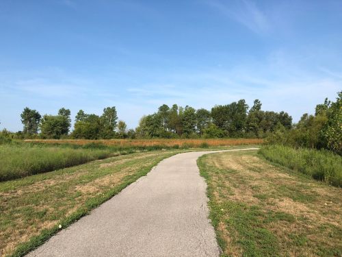 A winding path through a grassy area, bordered by trees under a clear blue sky.