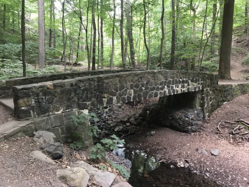 A stone bridge spans a small creek in a lush, green forest with trees and underbrush surrounding the area.