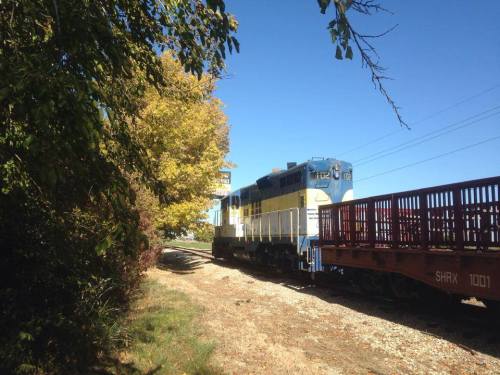 A blue and yellow train engine with a freight car, surrounded by trees and clear blue sky.