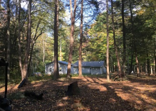 A gray house nestled among tall trees, surrounded by fallen leaves in a serene forest setting.
