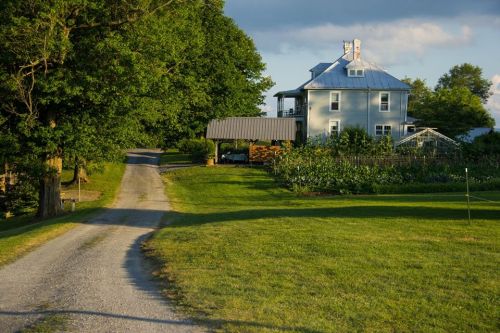 A gravel driveway leads to a two-story house surrounded by trees and a garden under a blue sky.