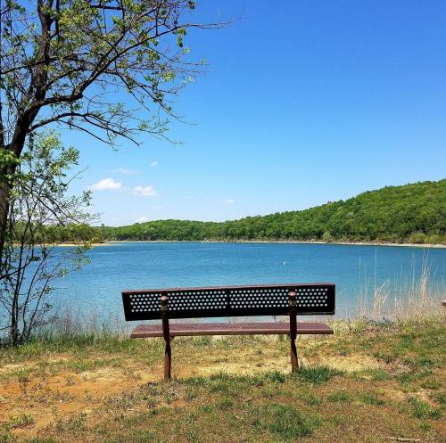 A wooden bench by a calm lake, surrounded by greenery and under a clear blue sky.
