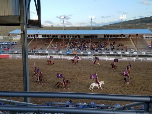 A rodeo arena with a crowd watching horseback riders in pink outfits carrying flags, performing in the dirt.