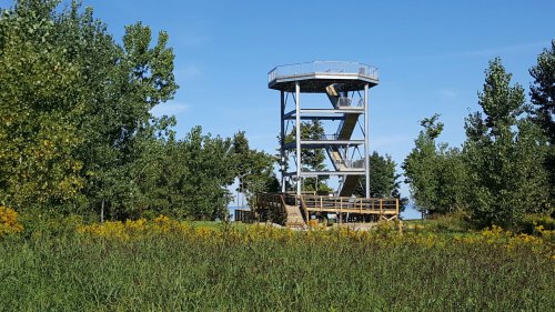 A tall observation tower surrounded by green trees and wildflowers under a clear blue sky.