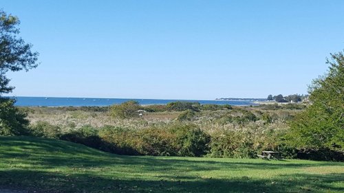 A serene landscape featuring a grassy area with trees, leading to a calm sea and distant shoreline under a clear blue sky.