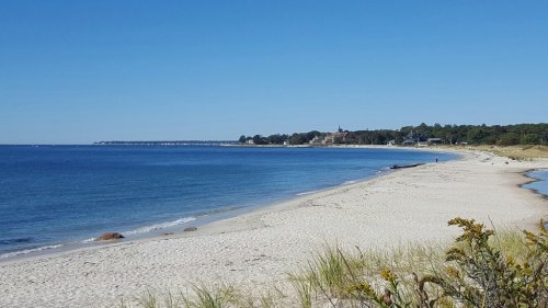 A serene beach scene with soft sand, calm blue water, and a clear sky, lined with trees and distant buildings.