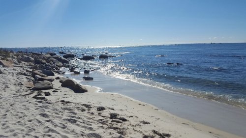 A sunny beach scene with sparkling water, smooth sand, and scattered rocks along the shoreline.