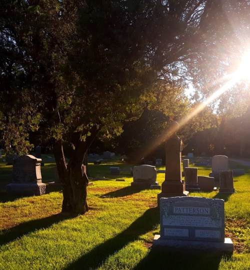 A serene cemetery scene with gravestones, trees, and sunlight filtering through, casting long shadows on the grass.