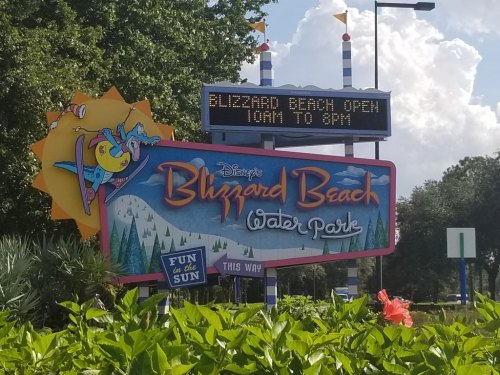 Sign for Disney's Blizzard Beach Water Park, stating it's open from 10 AM to 8 PM, surrounded by greenery.