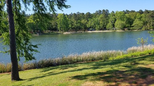 A serene lake surrounded by lush greenery and trees under a clear blue sky.