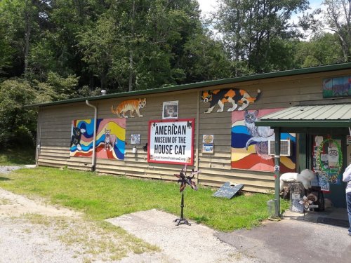 Exterior of the American Museum of the House Cat, featuring colorful murals of cats on a wooden building.