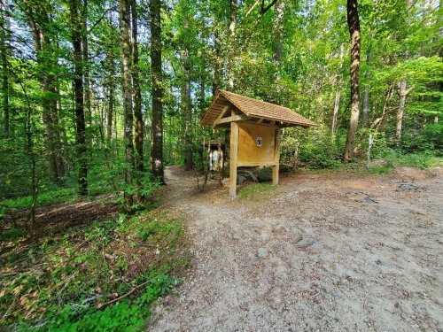 A small wooden shelter stands at a forest trail intersection, surrounded by lush green trees and a dirt path.