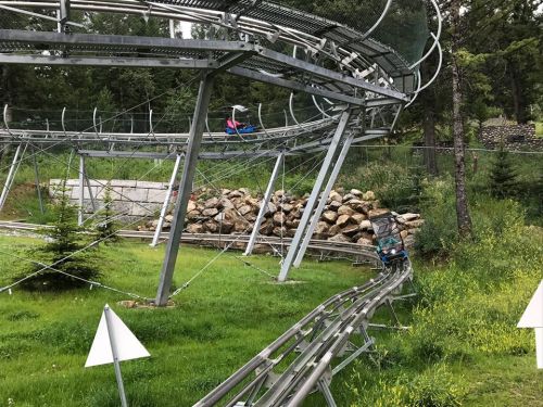 A winding roller coaster track surrounded by greenery and rocks, with a cart in motion on the track.