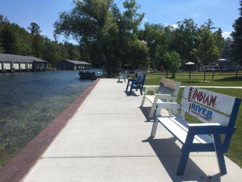 A peaceful riverside scene with colorful benches along a concrete path, surrounded by trees and boathouses.