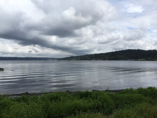 A calm lake surrounded by green grass and trees, under a cloudy sky with gentle ripples on the water's surface.
