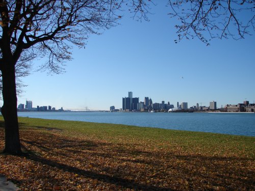 A clear blue sky over a city skyline by a river, with autumn leaves on the ground and a tree in the foreground.