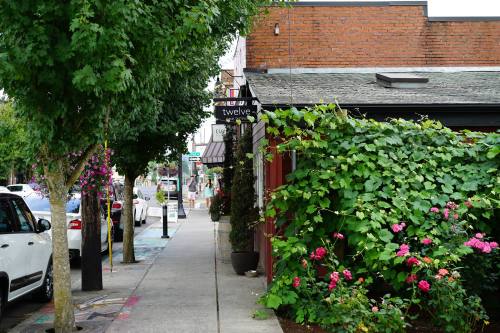 A tree-lined sidewalk with flowering plants, a restaurant sign, and pedestrians in the background on a sunny day.