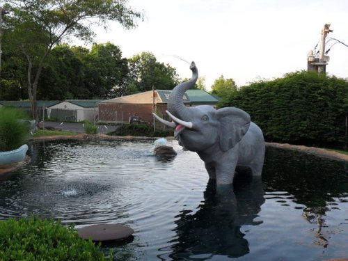 A large elephant statue sprays water in a pond, surrounded by greenery and a fence in the background.