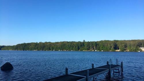 A calm lake scene with a wooden dock extending into the water, surrounded by lush green trees under a clear blue sky.
