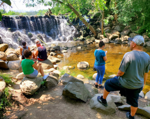 People relax by a waterfall, sitting on rocks near a calm stream surrounded by lush greenery.