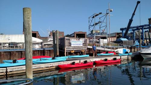 A marina with colorful kayaks docked, a person standing by the water, and boats in the background under a clear blue sky.