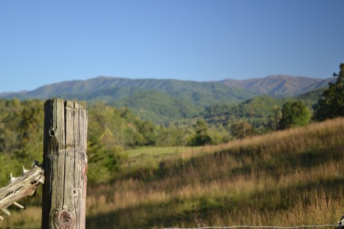 A wooden fence post in the foreground with rolling green hills and mountains under a clear blue sky in the background.