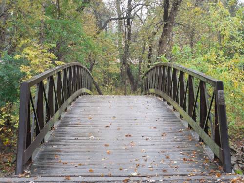 A wooden bridge spans a small path, surrounded by trees with autumn foliage and a damp, rainy atmosphere.