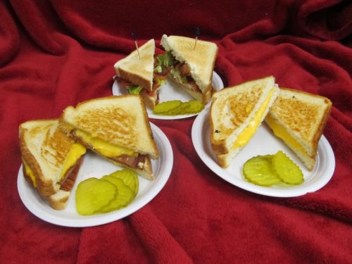 Three grilled cheese sandwiches on paper plates, served with pickle slices, against a red background.