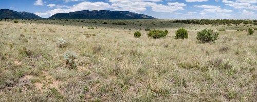 A panoramic view of a grassy landscape with sparse shrubs and distant mountains under a blue sky with scattered clouds.