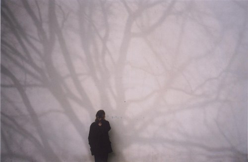 A person stands against a wall, casting shadows of tree branches that create an intricate pattern behind them.