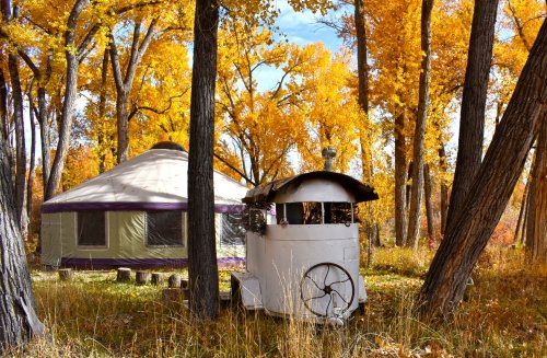 A yurt and a vintage white trailer surrounded by vibrant autumn trees with golden leaves.