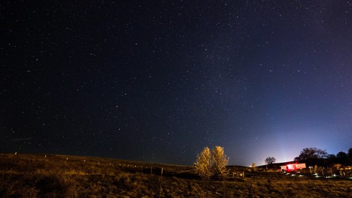 A starry night sky over a grassy landscape, with a faint glow from a nearby building and a tree in the foreground.