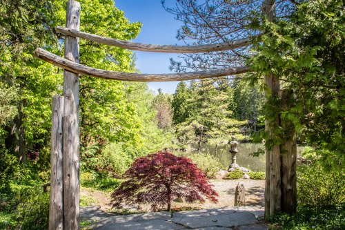 A serene garden scene featuring a wooden archway, vibrant greenery, and a small pond in the background.