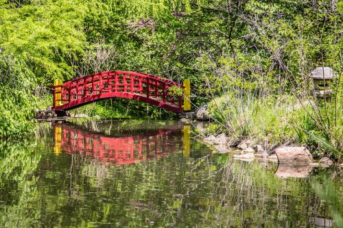 A red bridge arches over a calm pond, surrounded by lush greenery and reflecting in the water.