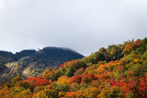 A scenic view of a mountain covered in vibrant autumn foliage under a cloudy sky.