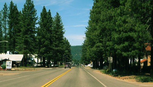 A scenic road lined with tall pine trees, leading into a small town with buildings and a speed limit sign.