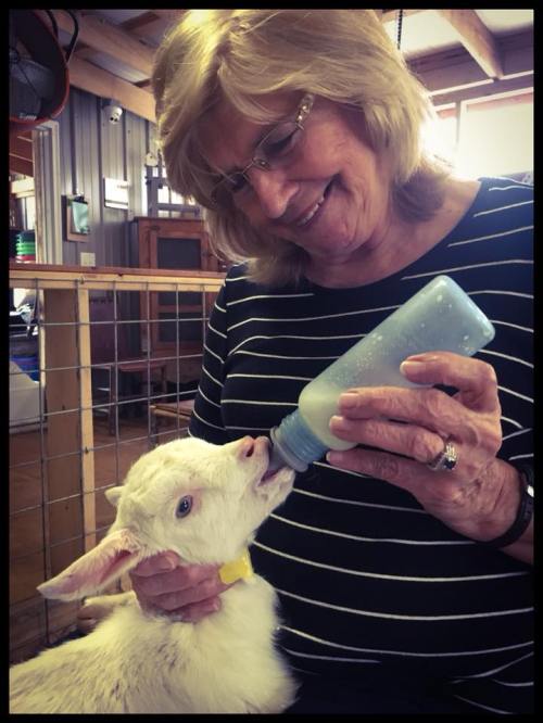 A woman smiles while feeding a baby goat with a bottle in a cozy farm setting.