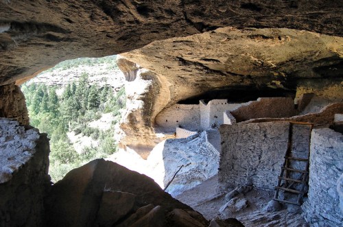 View from a cave entrance showcasing ancient stone structures and a lush forest in the background.